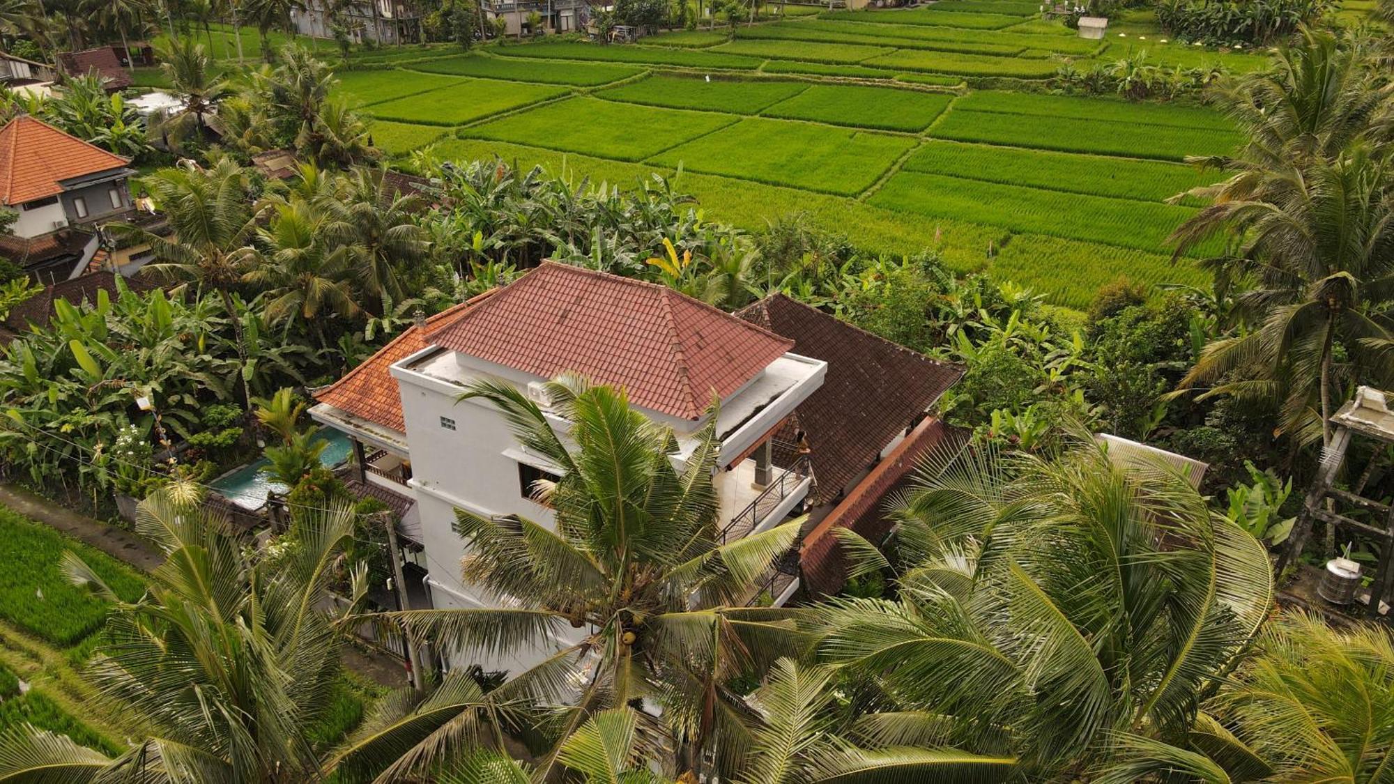 Nirwa 1 Ubud Guesthouse Exteriér fotografie